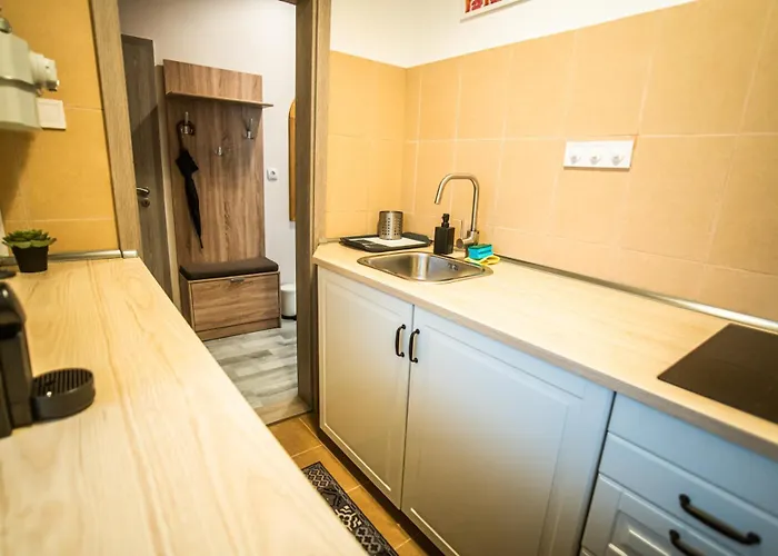 Entire Spacious In Lägenhet *