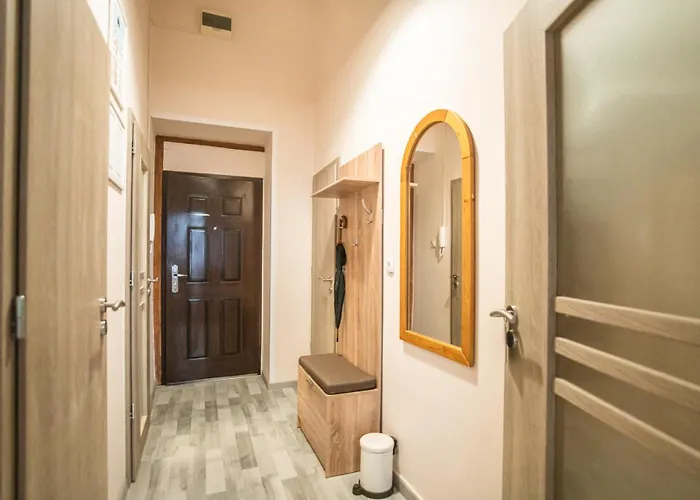 Entire Spacious In *
